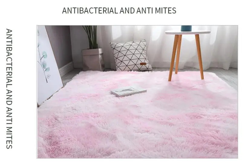 Bedroom Anti-slip Floor Water Absorption Carpet Rugs in USA.