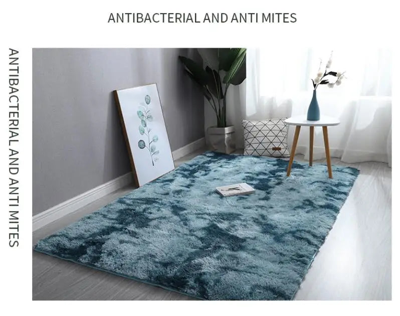 Bedroom Anti-slip Floor Water Absorption Carpet Rugs in USA.