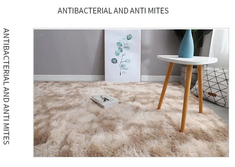 Bedroom Anti-slip Floor Water Absorption Carpet Rugs in USA.