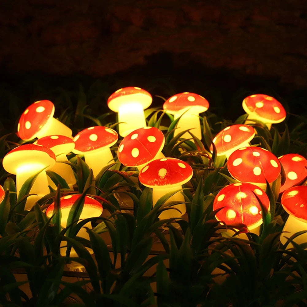 Leds Mushroom LED Fairy Lights USB/Battery String Light in USA