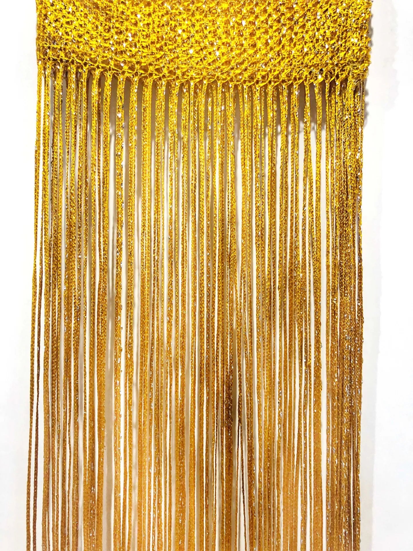 String Curtain Shiny Tassel Line Curtains Window Door in USA