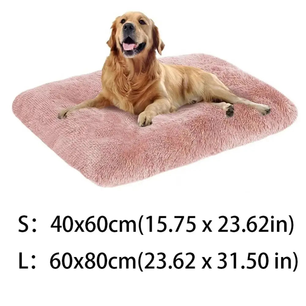 Waterproof Warm Dog Blanket Comfortable Velvet in USA.