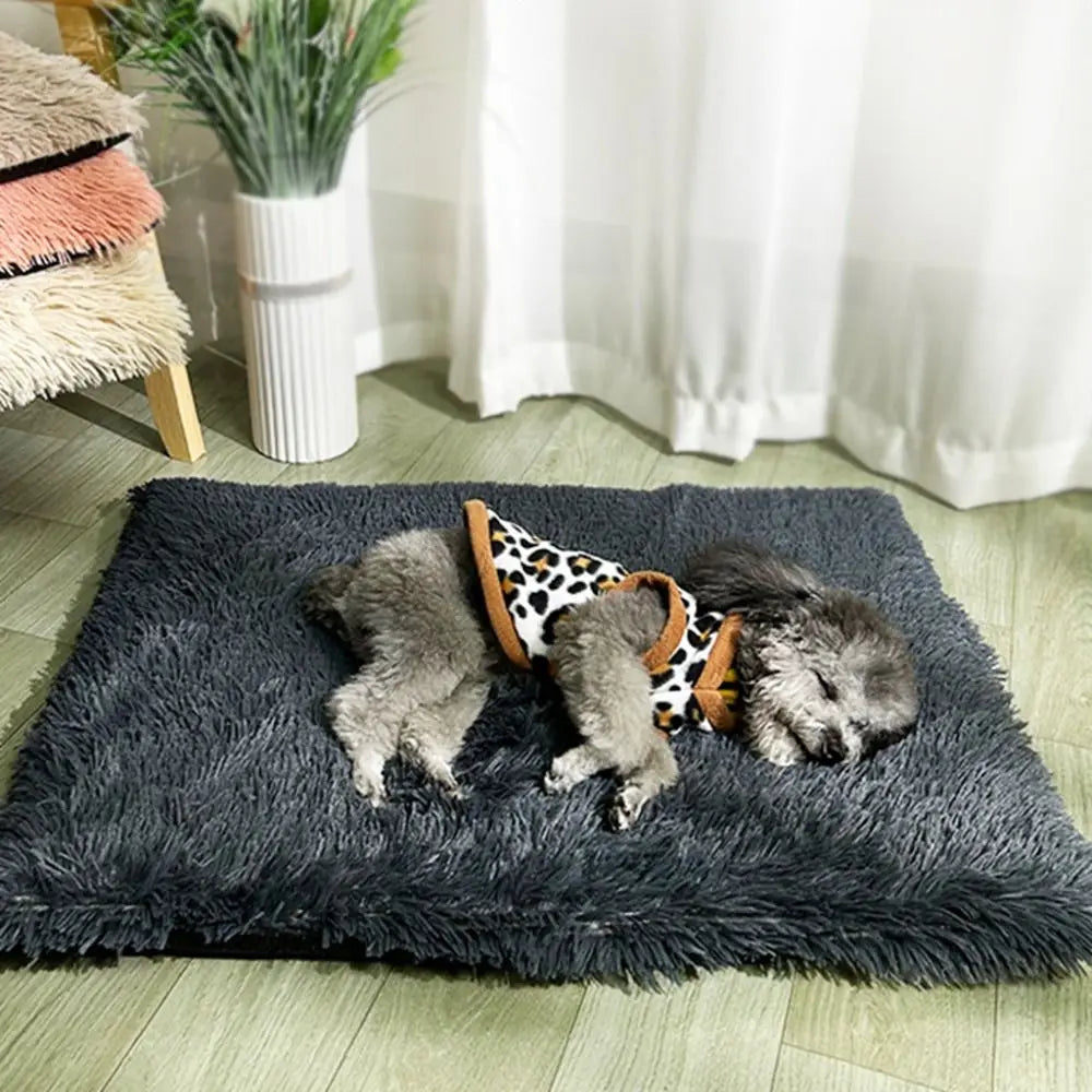 Waterproof Warm Dog Blanket Comfortable Velvet in USA.