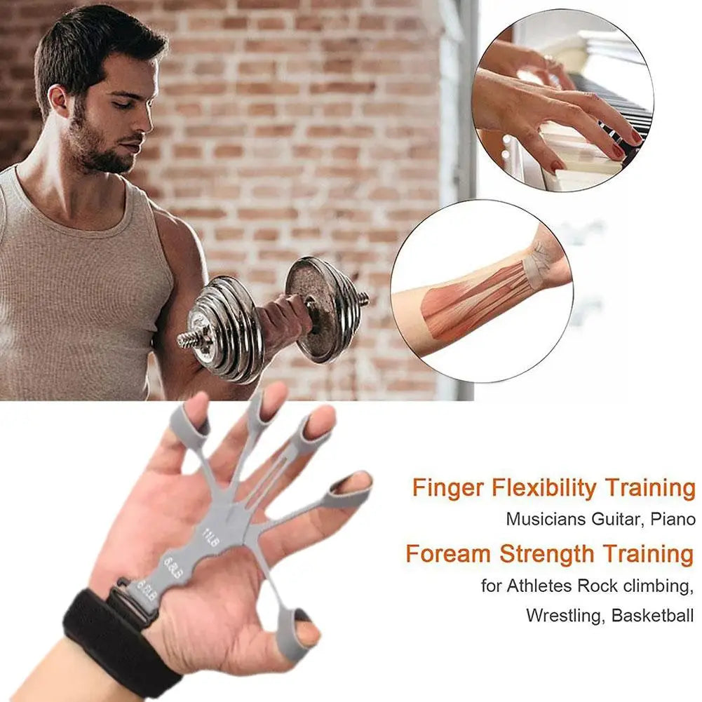 Training Gym Fitness Trainer Sports Equipment Accessories in USA