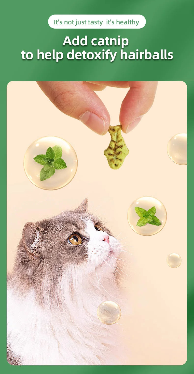 Pet Cats Mint Biscuits Cat Teeth Grinding Snacks Tooth in USA