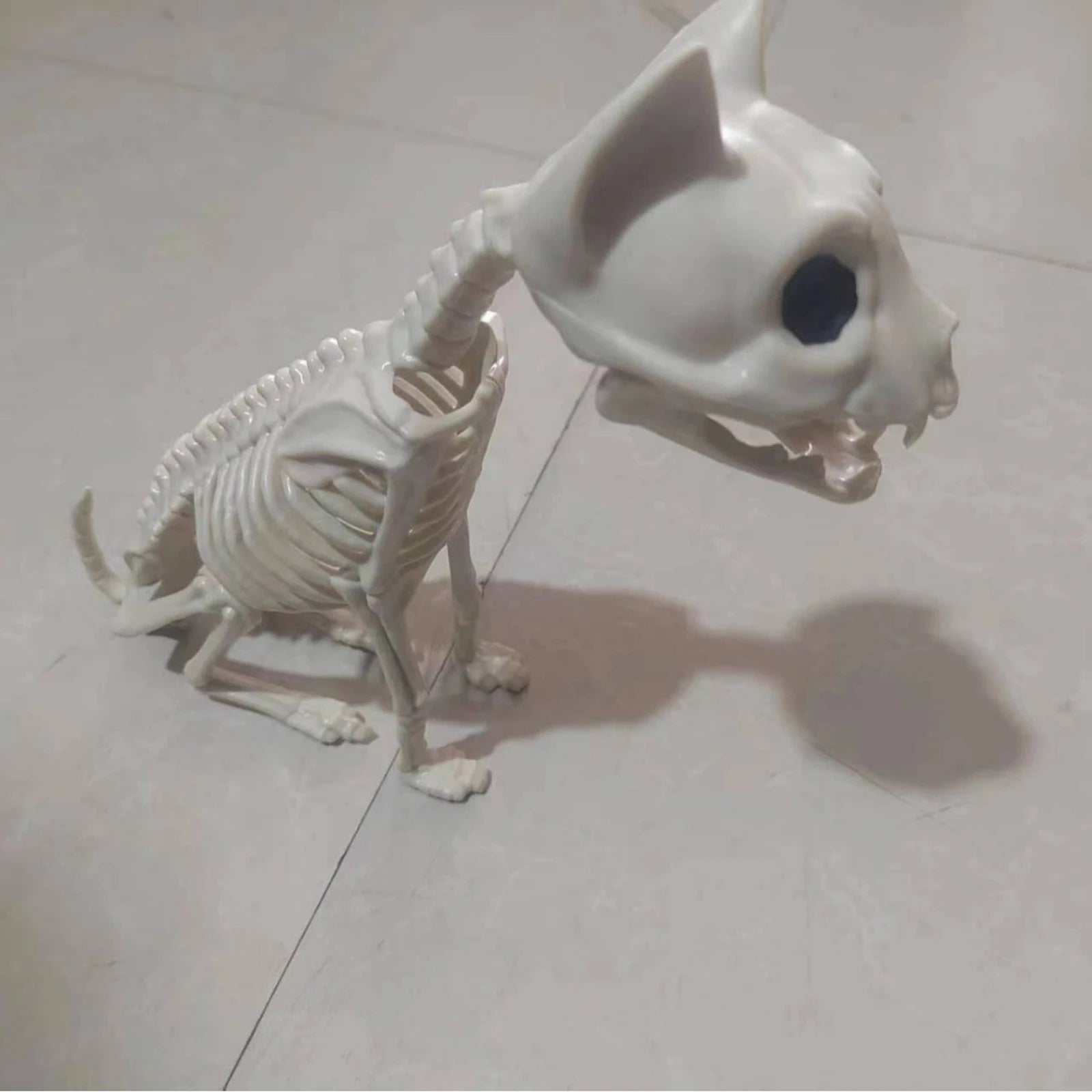 Halloween Cat Skeleton Cat Skull Prop Bones Horror Ornaments in USA