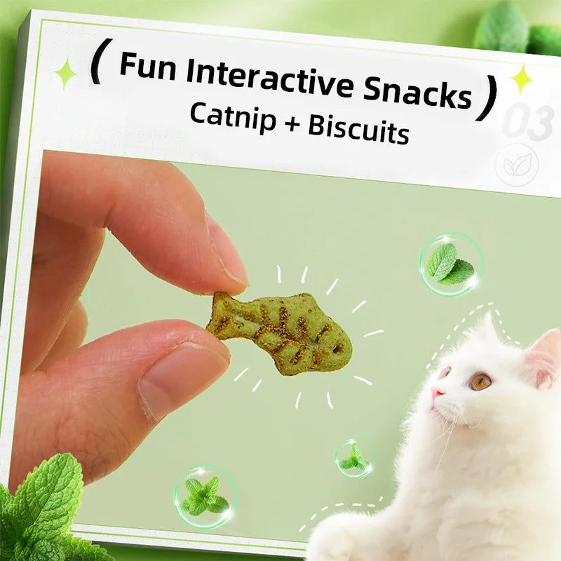 Pet Cats Mint Biscuits Cat Teeth Grinding Snacks Tooth in USA