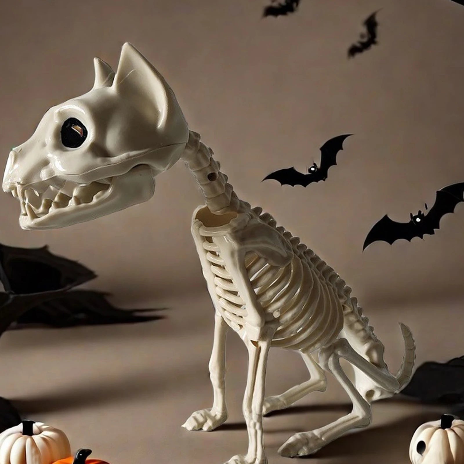 Halloween Cat Skeleton Cat Skull Prop Bones Horror Ornaments in USA