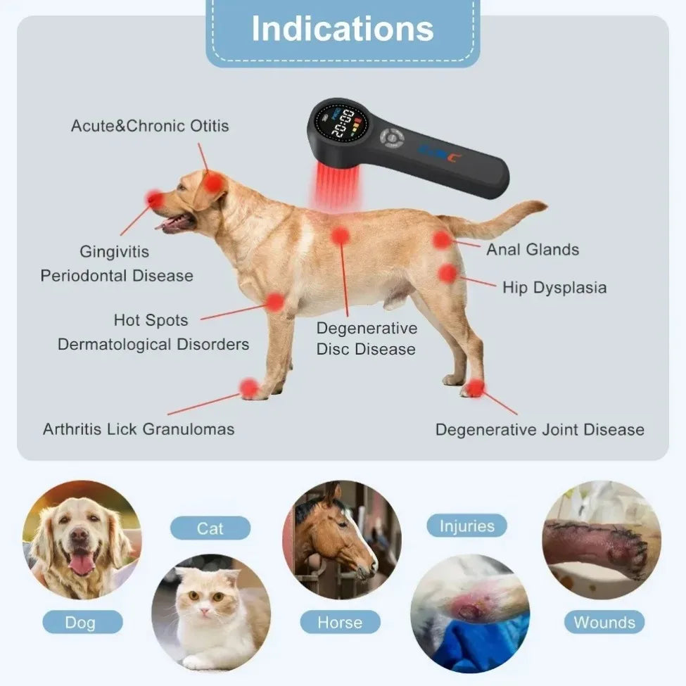 ZJKC Portable 660nm 810nm 980nm Cold Laser Therapy Device Home Use for